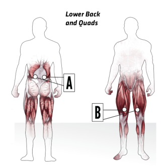 Lower-Back-and-Quads