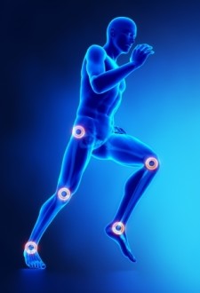 Soreness and Recovery myths