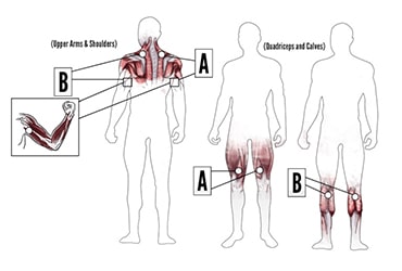muscle recovery after workout