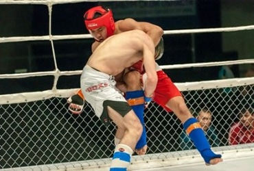 mixed martial arts and building muscle