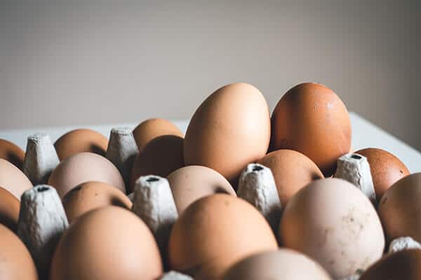 creatine in eggs